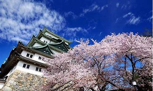 日本著名旅游景点排名_日本最著名旅游景点