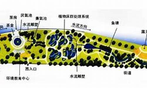 活水公园的水净化系统原理图_活水公园的水