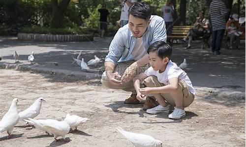 泉城公园喂鸽子的地方在哪里_泉城公园喂鸽