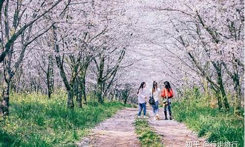 春季旅游景点排行榜前十名有哪些_春季旅游景点