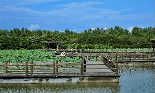 广州南沙湿地公园景点介绍_广州南沙湿地公园景点介绍图片