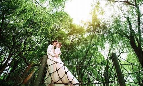 上海共青森林公园拍婚纱_上海共青森林公园拍婚纱照要额外收钱
